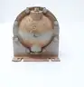 AMERICAN INDUSTRIAL AB-1004-C6-TP HEAT EXCHANGER 1-1/2IN X 1-1/2IN thumbnail 5
