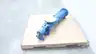 ALLWEILER AED1E 560-ID/131 P04 ECCENTRIC SCREW PUMP thumbnail 2