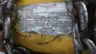 YALE HOISTS C6T17NZ9C JL863-8 ELECTRIC HOIST 2TON 575V-AC thumbnail 7