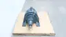 US MOTORS PLN2604C-PS-B3-IS-AP PLANET POWER GEAR DRIVE SPEED REDUCER 630:1 thumbnail 3