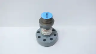 FISHER 42B6036X012 HP BONNET VALVE 2IN NPT