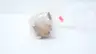 VERSA VSP-3311 THREE-WAY VALVE thumbnail 4