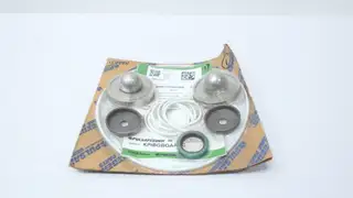 PULSAFEEDER KPIBGBOAACC PUMP REPAIR KIT