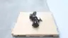 REXROTH R901093639 PR4-30/2.50-700RA12M01 FIXED DISPLACEMENT RADIAL PISTON PUMP thumbnail 2