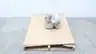 ALLIS CHALMERS PWO A3 STAINLESS 4-VANE PUMP IMPELLER 19IN OD thumbnail 1