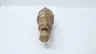 AQUATROL 88F BRONZE RELIEF VALVE 145CFM 15PSI 1-1/2IN thumbnail 4