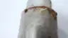 TELEDYNE 1870R RELIEF VALVE 75PSI 3/4IN X 1IN NPT thumbnail 6