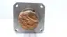 SANYO DENKI CN-3000T-10C4 SERVO MOTOR 120V-DC 1-3/8IN 1000RPM thumbnail 3