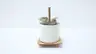 ELECTROSWITCH 24204B SERIES 24 ROTARY SELECTOR SWITCH 120/240/600V-AC thumbnail 3