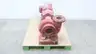 BELL & GOSSETT E-1510 SSF 9.5 IRON CENTRIFUGAL PUMP 230/460V-AC 20HP 4X5-9.5 thumbnail 1