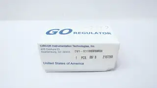 GO REGULATOR DV1-1C11BSMSMQ0 NEEDLE VALVE