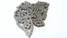 DIAMOND X-1550-010 SINGLE ROLLER CHAIN 10FT thumbnail 1
