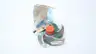 GOULDS 076781-1216 3196 6-1/16IN 5-VANE STEEL IMPELLER 1X1-1/2-6ST thumbnail 3