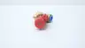 ASCO VO222 RED-HAT PNEUMATIC FLOW CONTROL VALVE 3/8IN NPT thumbnail 3