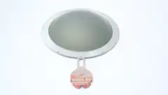 OSECO RFAS RUPTURE DISC 10IN 100PSI