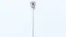 ASHCROFT 50-EI42E-240 BIMETAL THERMOMETER 5IN 24IN 0-250F thumbnail 3