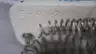 ELKON E-40-1 E-40-2 HEATING ELEMENT ASSEMBLY 3600W 32OHM thumbnail 4