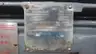WESTINGHOUSE HSB MOTOR 150HP 449T 3PH 460V-AC 1775RPM thumbnail 4