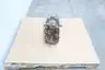 TRI-CLOVER PRED60-3M-UC4-SL-S ROTARY LOBE PUMP 3IN thumbnail 2