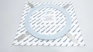PFAUDLER 4033508 CR-PSBN GASKET 10IN