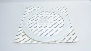 PFAUDLER 1440210 TYPE CR STYLE NS GASKET 10IN 13IN