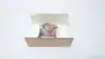 ASCO 302350 SOLENOID VALVE REPAIR KIT thumbnail 2