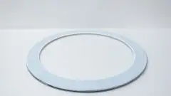 PFAUDLER 4033510 CR-PSBN GASKET 20IN