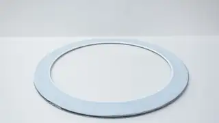 PFAUDLER 4033510 CR-PSBN GASKET 20IN