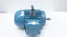 WEG 00336ET3E182T-W22 AC MOTOR 182/4T 3HP 3515RPM 1-1/8IN 460V-AC 3PH thumbnail 2