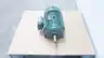 LEESON 170007.60 C256T17FB4D AC MOTOR 256T 20HP 1775RPM 230/460V-AC 3PH thumbnail 2