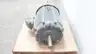 ALLIS CHALMERS GZZ INDUCTION MOTOR 220/440V-AC 1170RPM 75HP 3PH 445U thumbnail 3