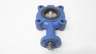 CENTERLINE AHBD5B7UDF DN50 PN16 STAINLESS IRON LUGGED BUTTERFLY VALVE 2IN