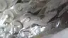 AMBAFLEX 63SB 5M SINGLE STEEL ROLLER CHAIN 3/4IN PITCH thumbnail 5