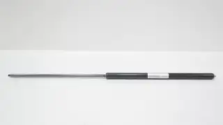 BANSBACH 6EYN9 AF243-066 EASYLIFT GAS SPRING