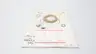 FISHER RV100X00C32 2IN COMPOSITION-SEAT BALL SEAL REPAIR KIT thumbnail 3
