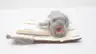 DRESSER RAND T78028B03 OIL ORFD PUMP thumbnail 4