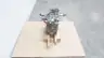 REXROTH PA4CSG125EPG/30R-VZB10K994N R902535826 AXIAL PISTON DISPLACEMENT PUMP thumbnail 2