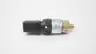 BARKSDALE L96211-BB1-S0039 PRESSURE VACUUM SWITCH 1/4IN 7PSI DECR 125/250V-AC thumbnail 2