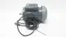 MARATHON 5KCR48WN0273BX AC MOTOR 56H 1-1/2HP 1725RPM 5/8IN 230V-AC 1PH thumbnail 3