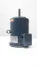 MARATHON LVN184TTDW4005AAM AC MOTOR 184JMV 7-1/2HP 3470RPM 460V-AC 3PH thumbnail 5