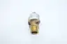 KUNKLE 1-D01-LC BRASS RELIEF VALVE 3/4IN NPT 15PSI 133LB/H thumbnail 2