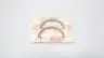 DRESSER RAND 606-196-005 SEGMENTED BAFFLE RING thumbnail 1