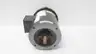MARATHON 8VE56T34F5600B AC MOTOR 56CZ-65 3/4HP 3450RPM 3PH 208-230/460V-AC thumbnail 2