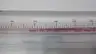 KING INSTRUMENT VARIABLE AREA FLOW METER 2-20SCFM thumbnail 5