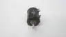 BECKMAN A-R1K-L.25 10-TURN WIREROUND ROTARY POTENTIOMETER 1000OHM thumbnail 2