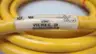 TURCK RYM RKM 66-6M DOUBLE-ENDED CORDSET CABLE 19FT 600V-AC thumbnail 4