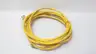 TURCK WSM 31-6M/S600 CORDSET CABLE thumbnail 2