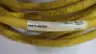 TURCK WSM 31-6M/S600 CORDSET CABLE thumbnail 5