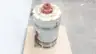 GE 5K6286XH74A TRI-CLAD VERTICAL INDUCTION MOTOR 6286P20 250HP 1775RPM 460V 3PH thumbnail 2