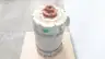 GE 5K6286XH74A TRI-CLAD VERTICAL INDUCTION MOTOR 6286P20 250HP 1775RPM 460V 3PH thumbnail 3